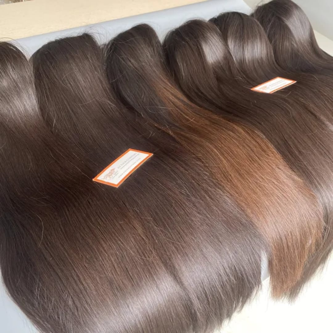 Perruque Lace Front HD Super Double Drawn – Cheveux Humains Lisses Vietnamiens